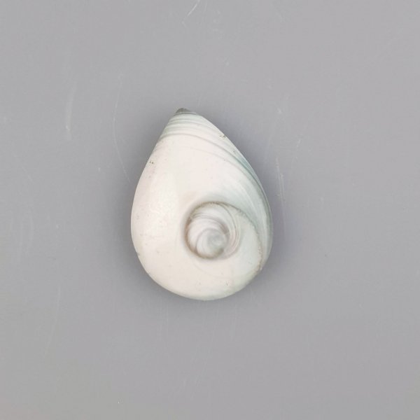 Amuleto Occhio di Santa Lucia, goccia | 3 cm